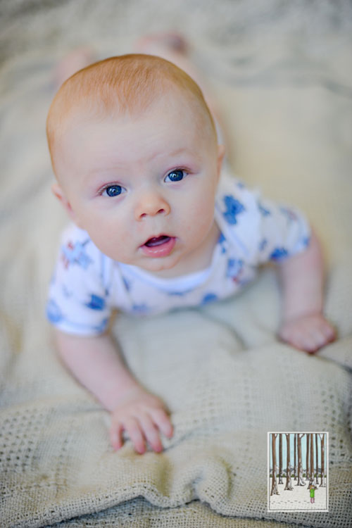 denver-baby-portraits