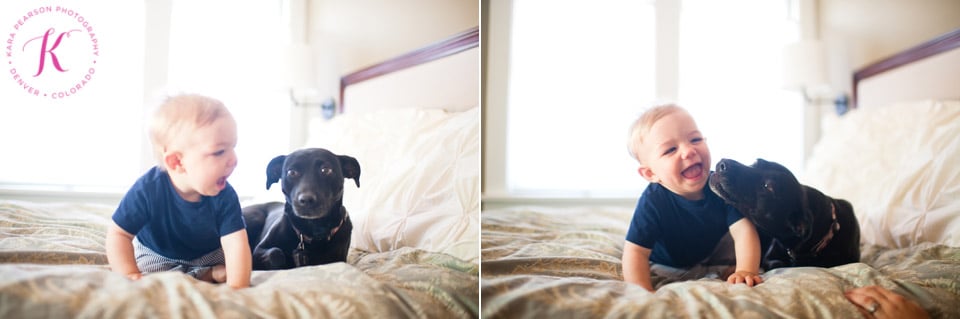 baby-and-dog-portraits