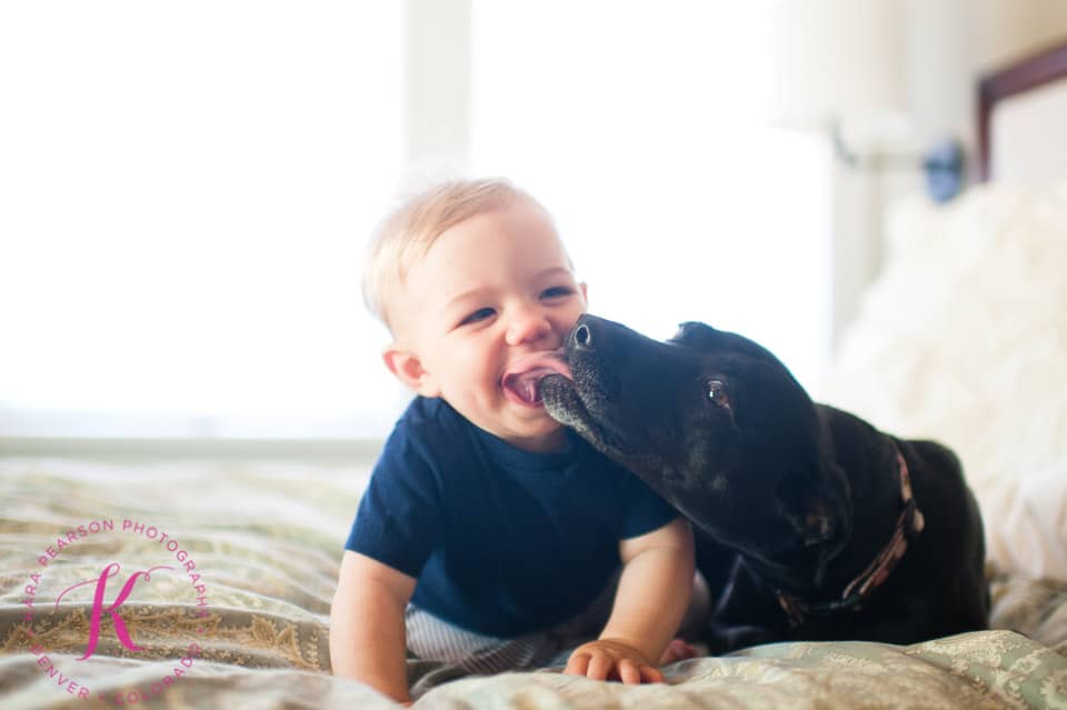 baby-kisses-dog