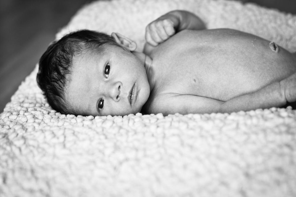 black and white newborn portraits denver